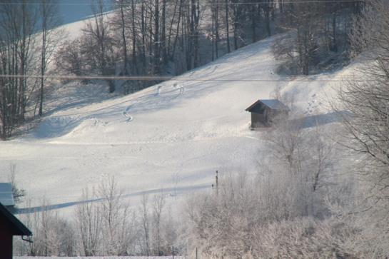 펜션 Bäckerhäusl Gasthof