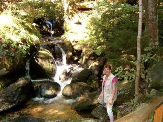 Bauernhof Mostheuriger