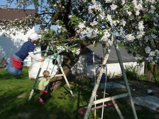 Bauernhof Mostheuriger