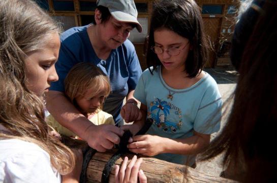 Bauernhof Reiterhof Knoebelsteiner