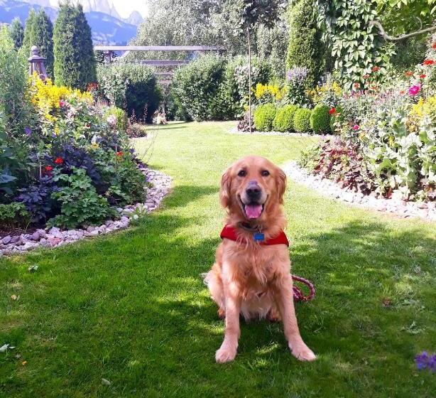 בית מלון כפרי Belvedere Dolomites Flower