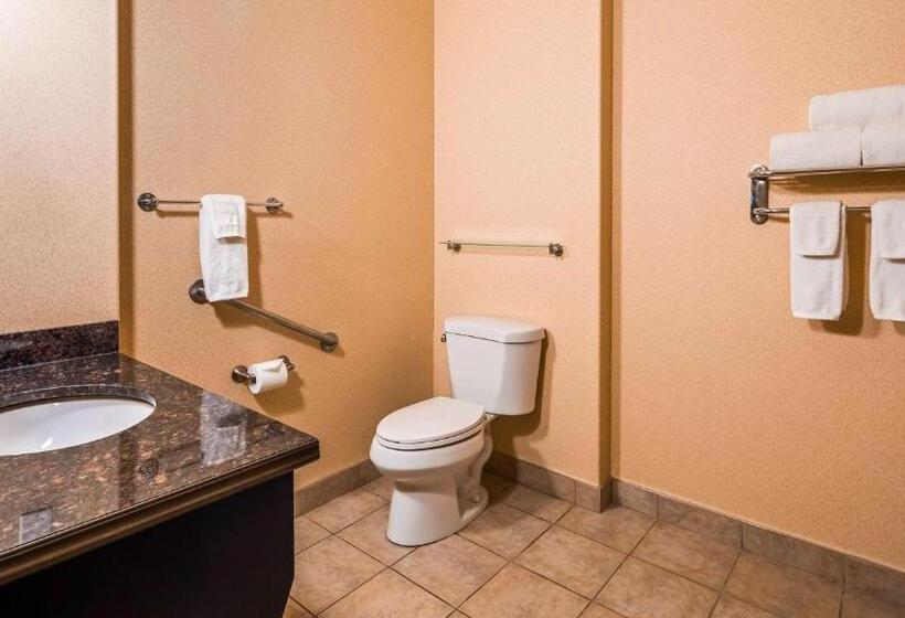 فندق Best Western Plus Estevan Inn & Suites