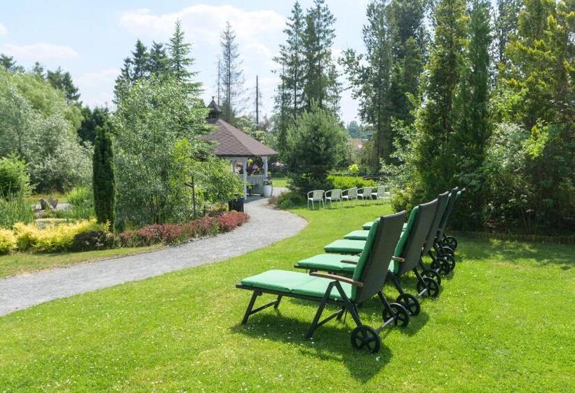 ホテル Centrum Ulan Spa