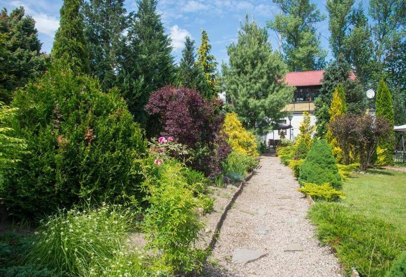 ホテル Centrum Ulan Spa