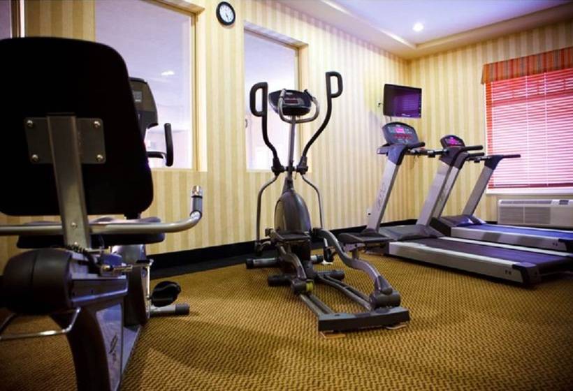 בית מלון כפרי Days Inn & Suites By Wyndham Edmonton Airport
