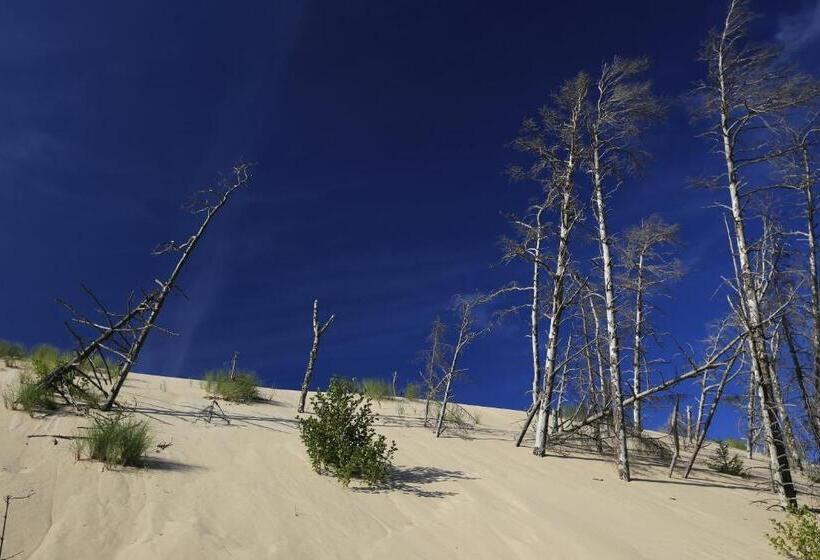 هتل Dom Atalia Wynajem Pokoi