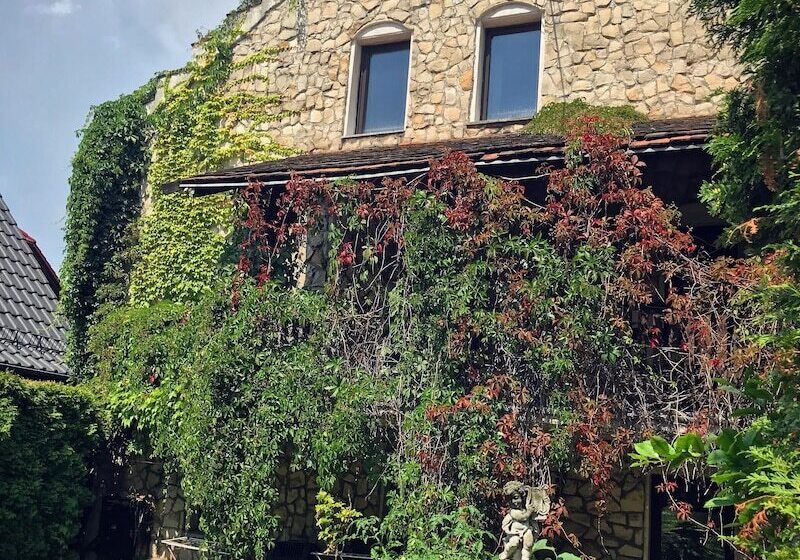 فندق Dworek Adamski