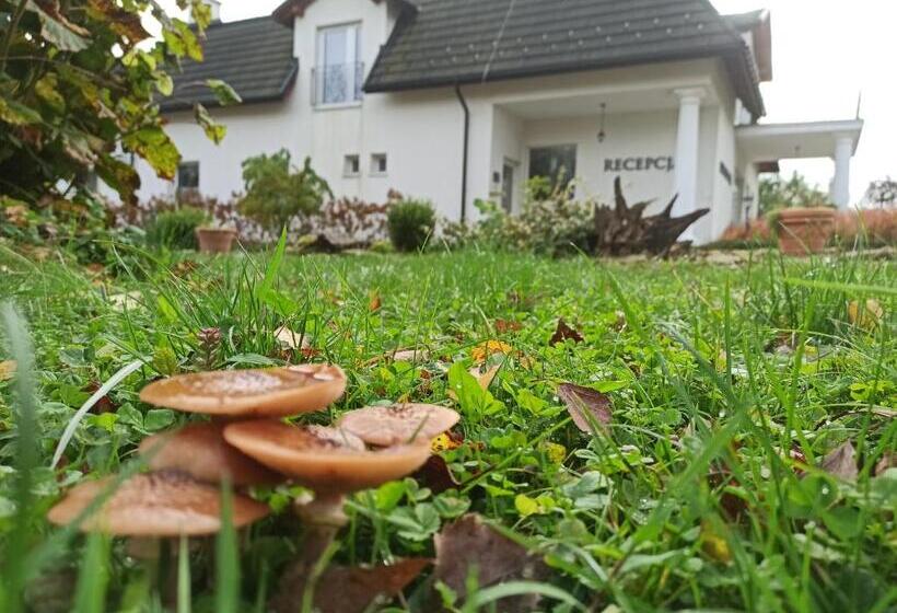 Отель Dwór Wapowce