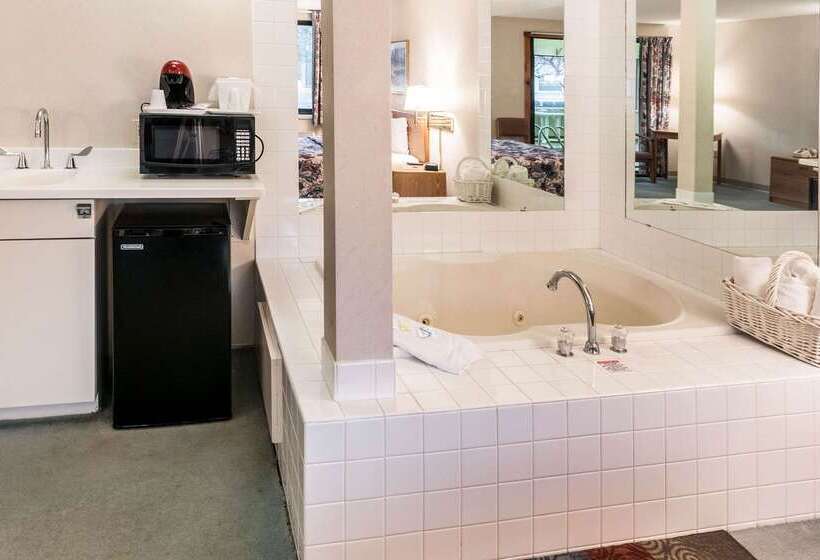 فندق Econo Lodge Inn & Suites