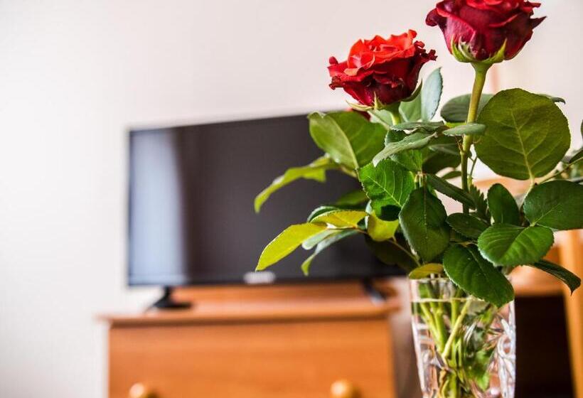 בית מלון כפרי Europa