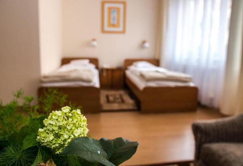 בית מלון כפרי Europa