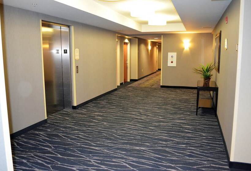 בית מלון כפרי Fairfield Inn & Suites By Marriott Sault Ste. Marie