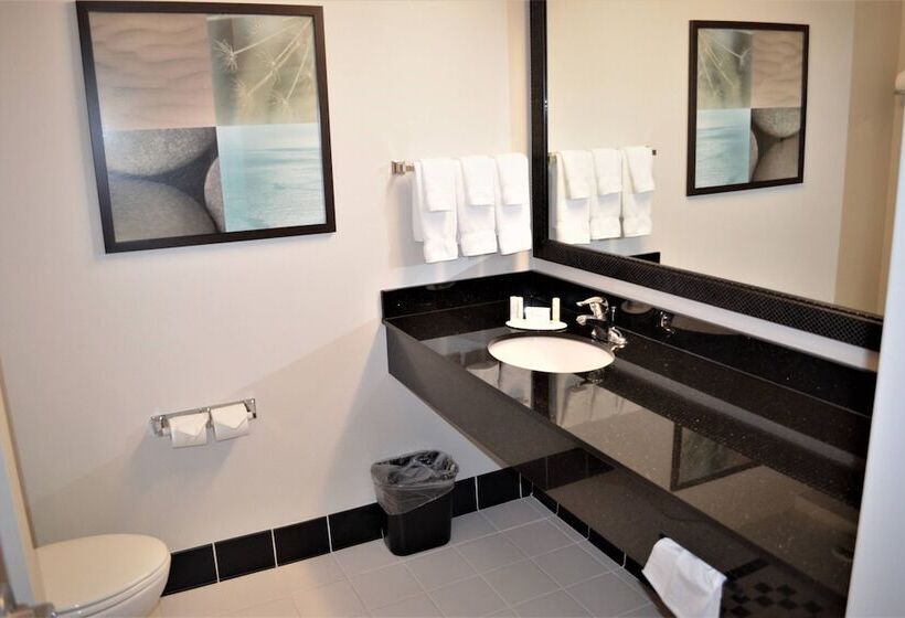 בית מלון כפרי Fairfield Inn & Suites By Marriott Sault Ste. Marie