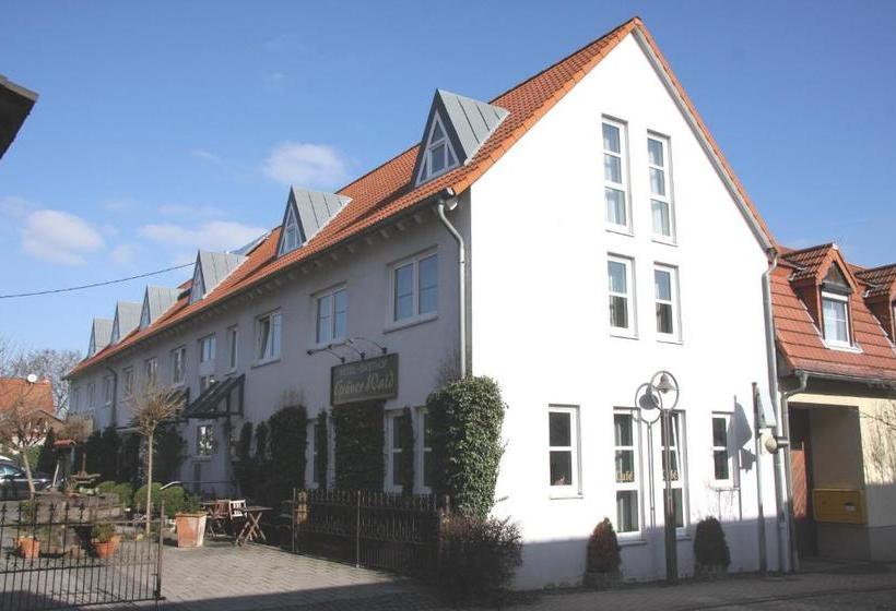 Отель Gasthof Gruner Wald