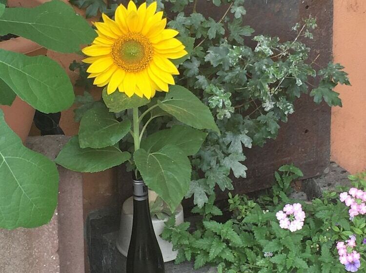 Отель Gasthof Gruner Wald