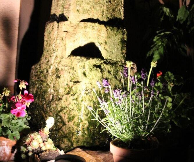 Отель Gasthof Gruner Wald