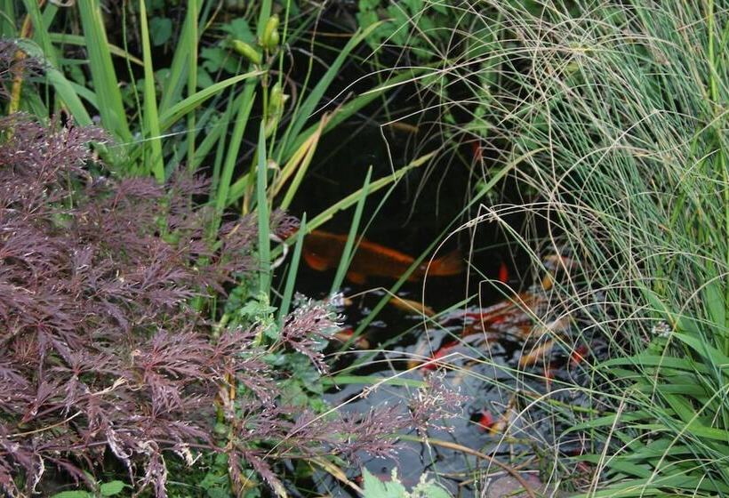 Отель Gasthof Gruner Wald