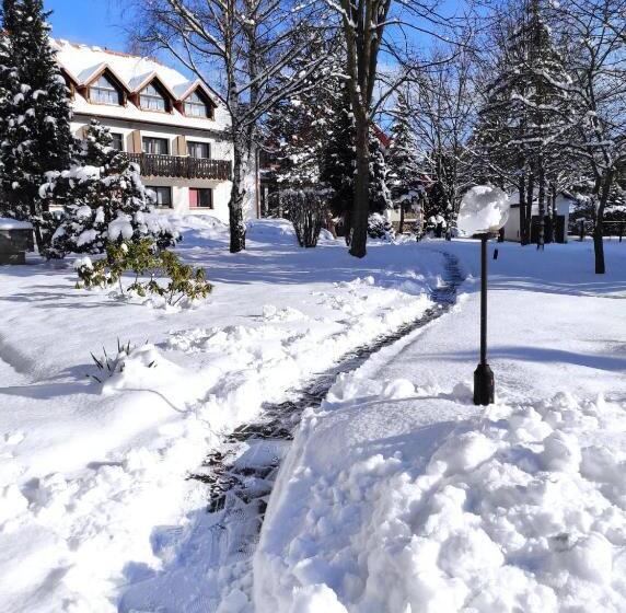 酒店 Geovita Muszyna