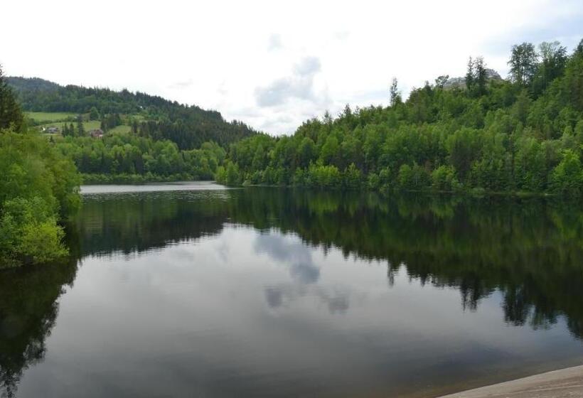 Hotel Geovita Wisła