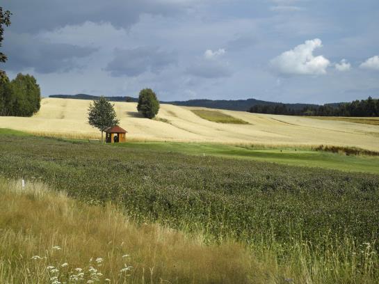 Golfresort Waidhofen