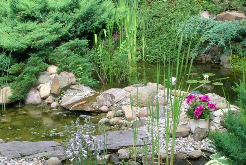 هتل Ik Gościniec Pod Sosnami Drzonków