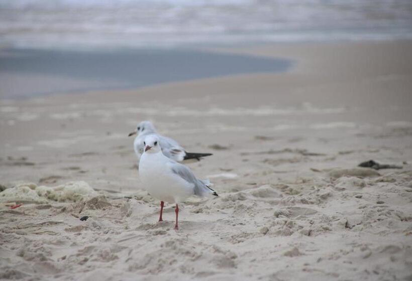 Отель Jantar Medical Spa