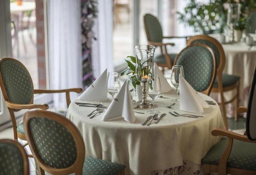 Отель Kormoran Medispa