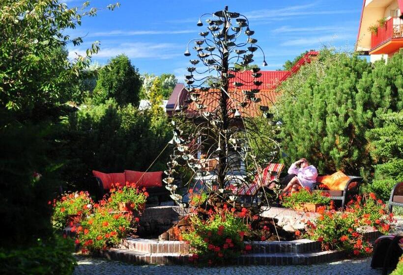 Отель Kormoran Medispa