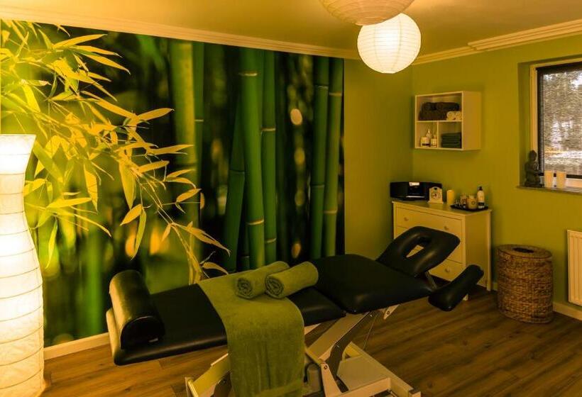 Отель Maximus Spa