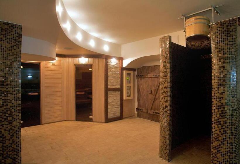 Отель Maximus Spa