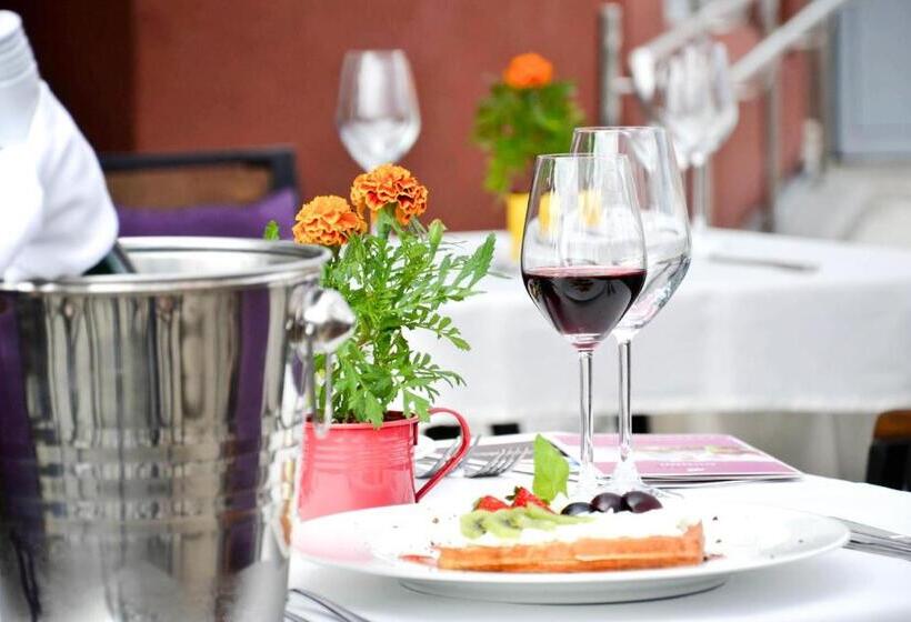 هتل Mazovia Airport Modlin