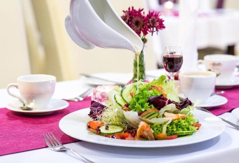 هتل Mazovia Airport Modlin