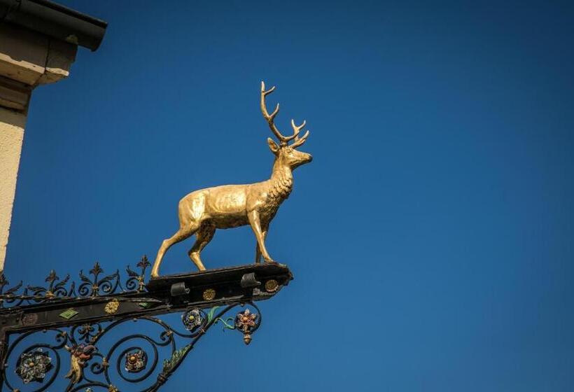 酒店 Neumaiers Hirsch Gasthof Und Land