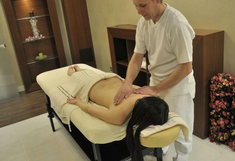 فندق Radocza Park Active & Spa