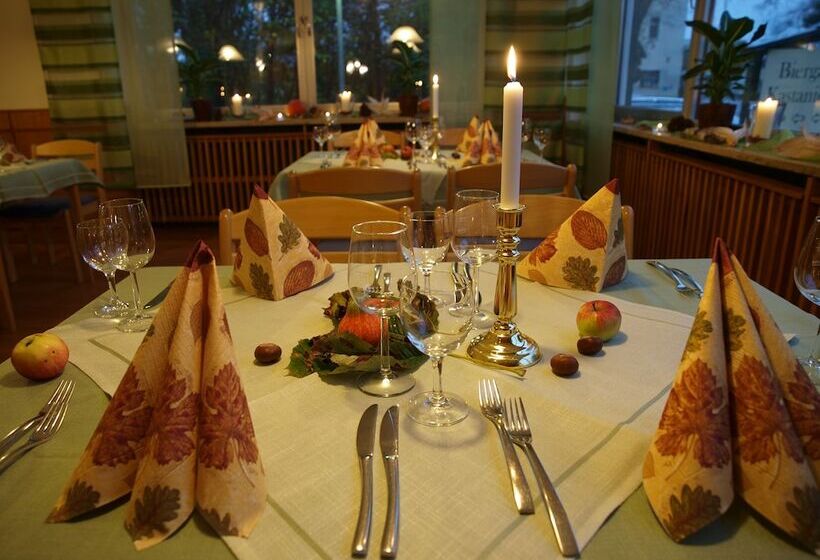 Отель Restaurant Kastanienhof Lauingen