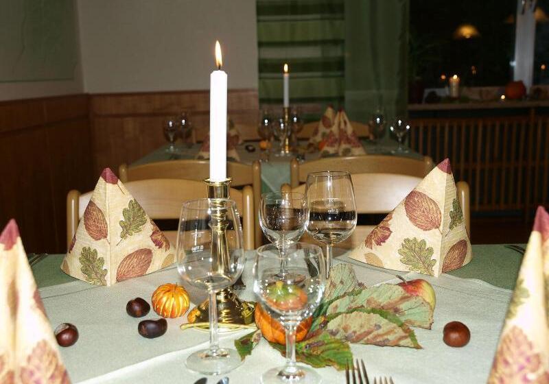 Отель Restaurant Kastanienhof Lauingen