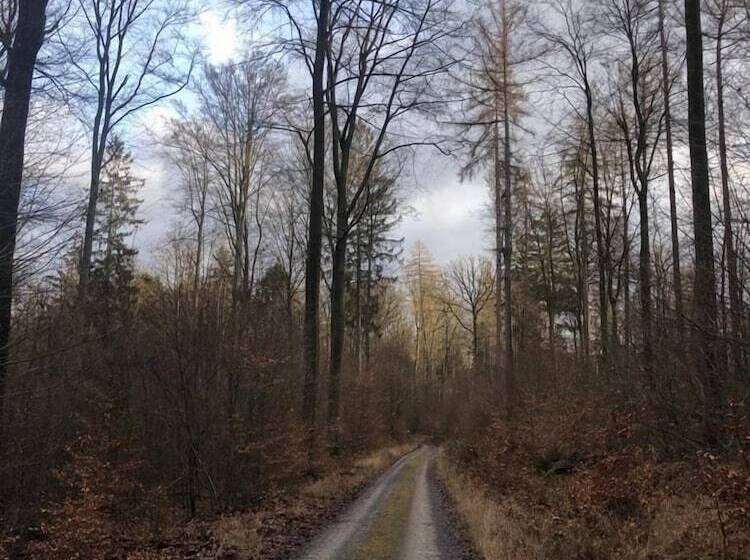 Serways Hotel Spessart