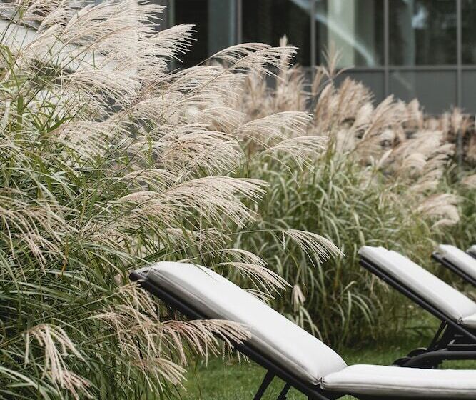 Отель Shuum Boutique Wellness