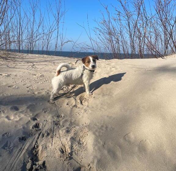 Отель &spa Stary Dziwnów Basen Swimming Pool