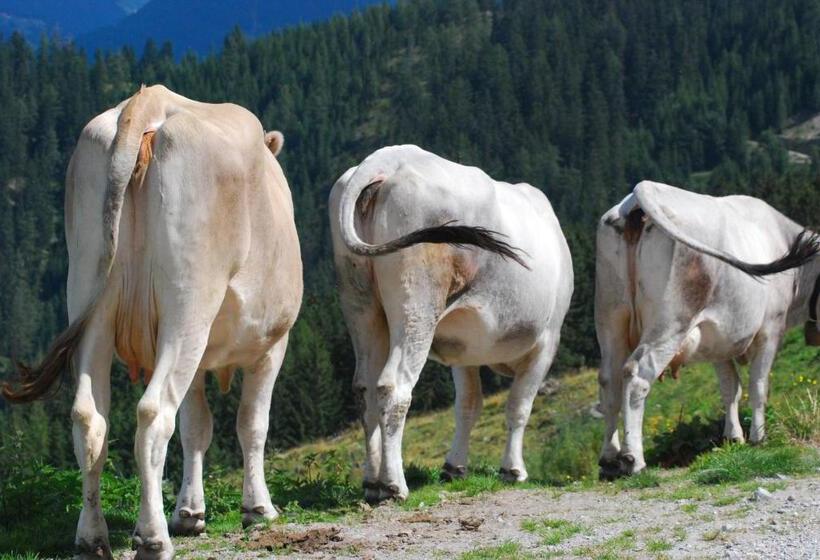 בית מלון כפרי Thalerhof