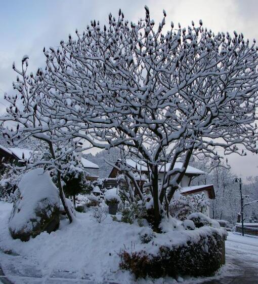 בית מלון כפרי Thalerhof