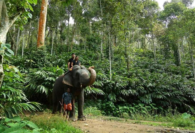 هتل Elephant Court Thekkady