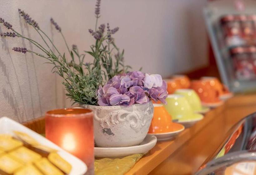 בית מלון כפרי Vollmann