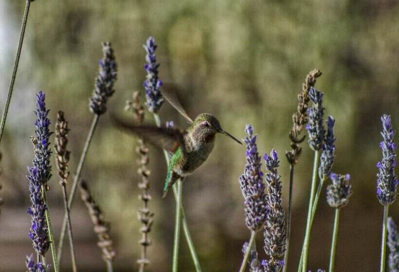 호텔 Wharf Master's Inn