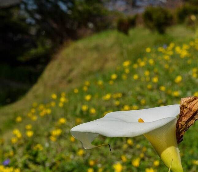 호텔 Wharf Master's Inn