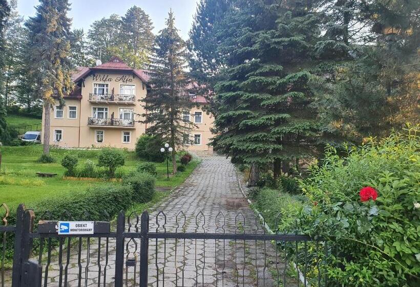 فندق Willa Alfa