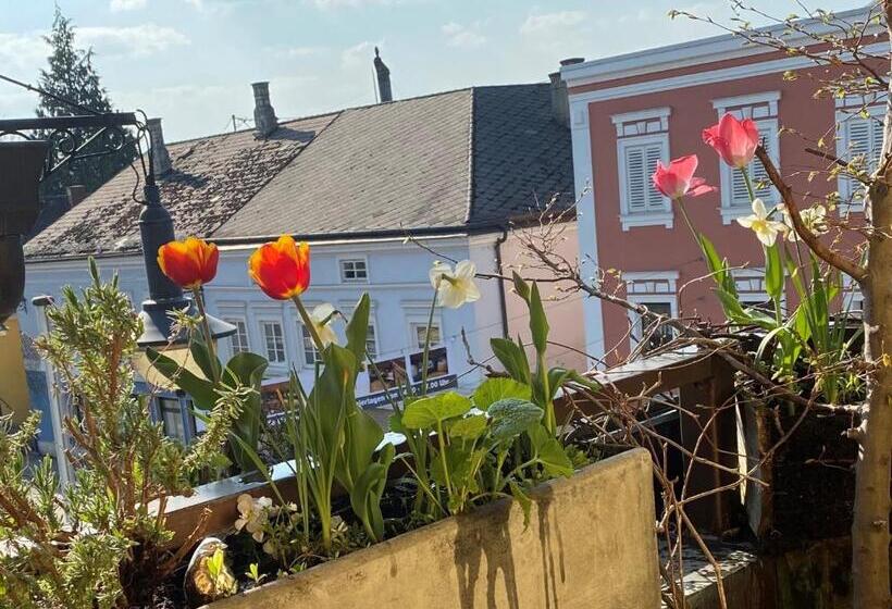 בית מלון כפרי Zillners Einkehr