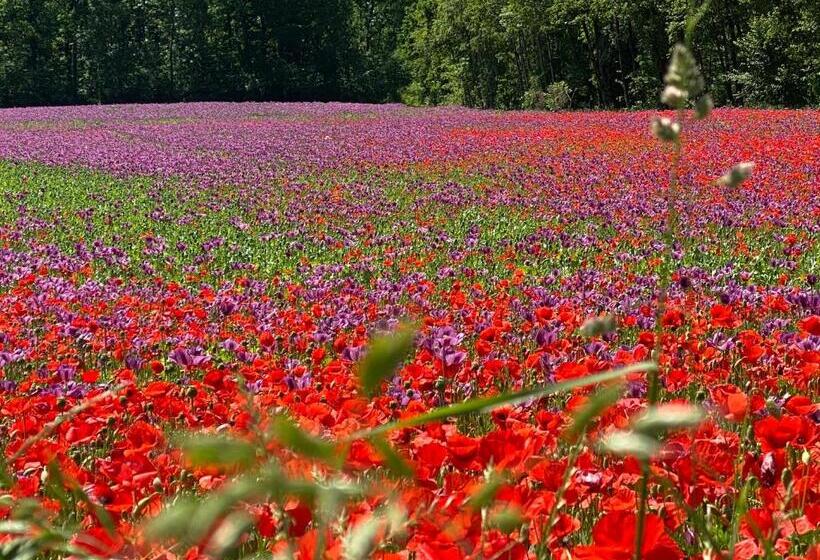 בית מלון כפרי Zillners Einkehr