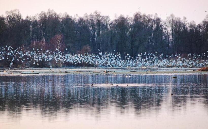 בית מלון כפרי Zillners Einkehr