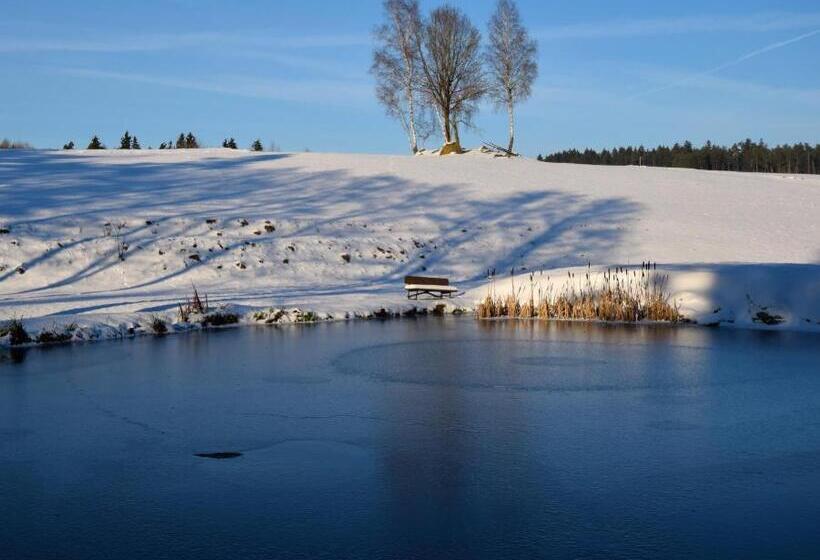 Отель Zum Waldnaabtal
